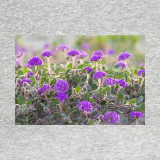 Purple Field of Flowers, Desert Verbena T-Shirt